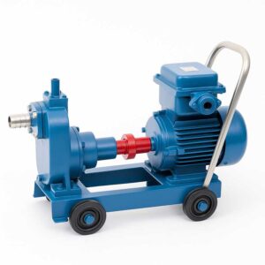 Read more about the article Stainless Steel Self-Priming Pump