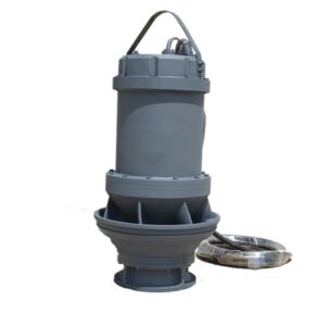 Read more about the article Axial Flow Sewage Pump