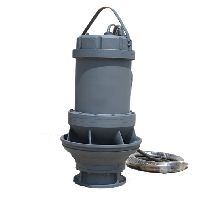 Read more about the article Axial Flow Sewage Pump