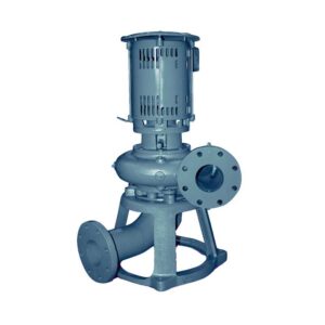 Read more about the article Dry Pit Sewage Pump