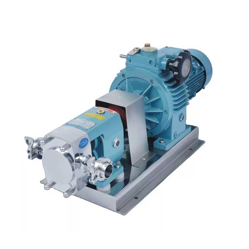 Read more about the article Sanitary Lobe Pump