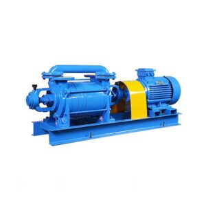 Read more about the article Two-Stage Liquid Ring Vacuum pump